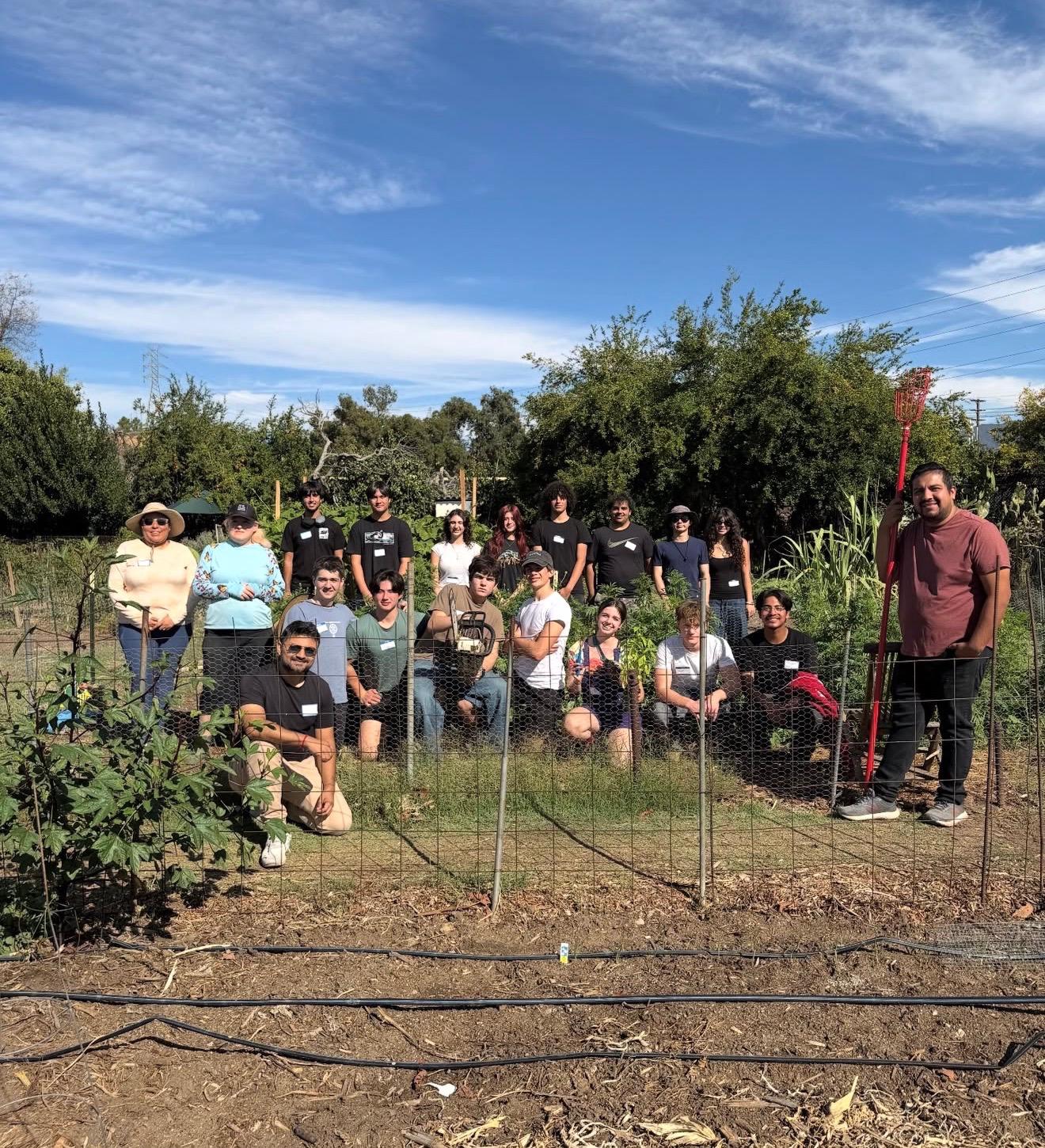 Our community coming together in the garden